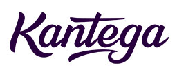 Intersoft logo