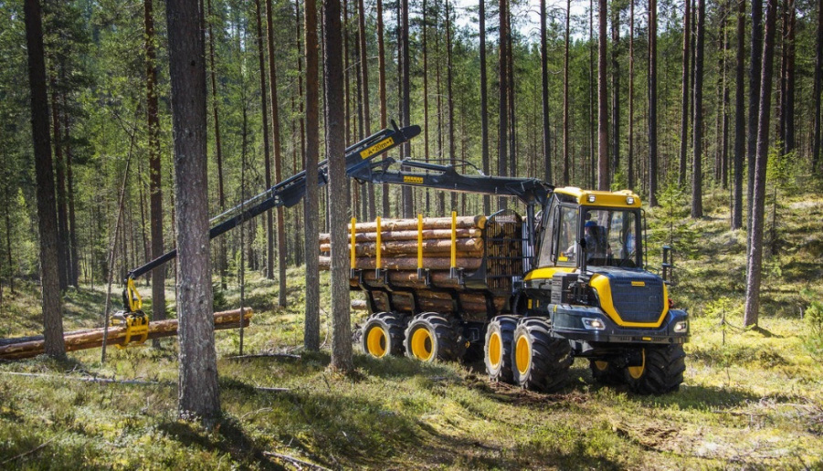 skogsmaskin i tømmerproduksjon